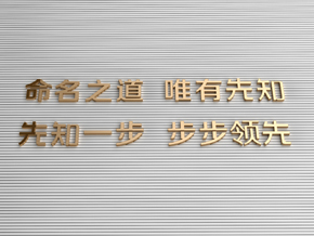 新品类公司起名及命名之道，唯有先知中国