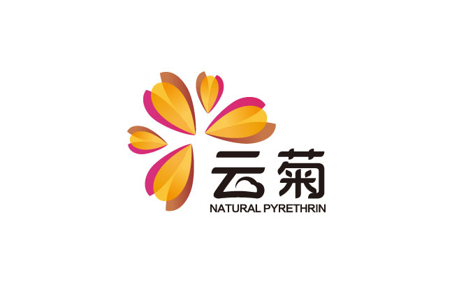 云菊