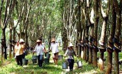 橡胶厂家起名