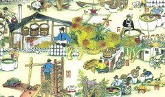 给白酒品牌诊断