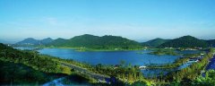 怎样给园林公司取名