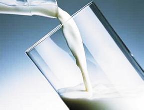 乳制品公司起名