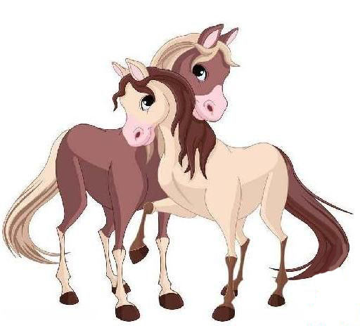 什么时间出生的属马人婚后非富即贵