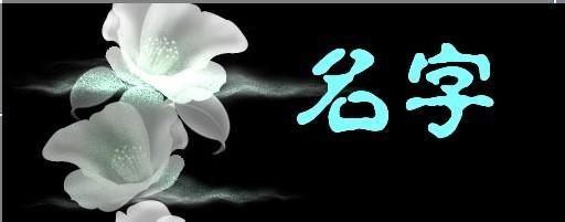 公司起名大全