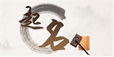 标准的店铺名如何起