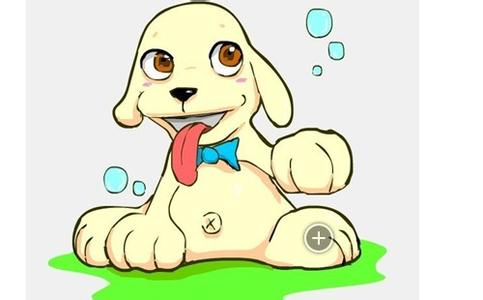 2017年属狗人综合运势