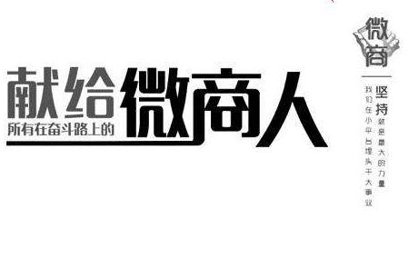 两个字的团队名称微商
