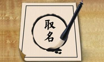 取名公司哪家好
