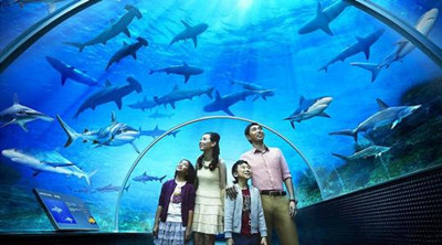 观赏鱼水族馆起名大全