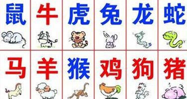 十二属相婚配详解