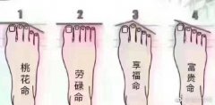 脚趾看相算一生