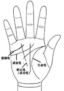 梦见看手相是怎么回事